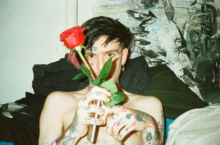 sadboydrugs:  Mighty mighty roses