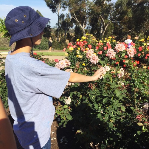 effervescentvibes:   good vibes here 