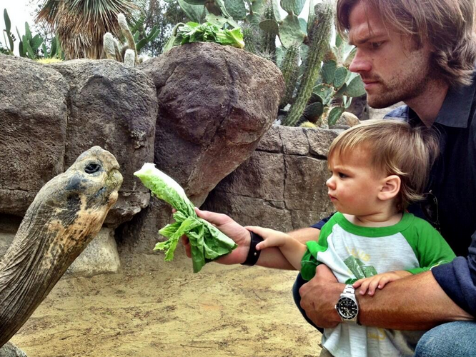 zedds-bacon:  THEY BOTH LOOK SO CONFUSED