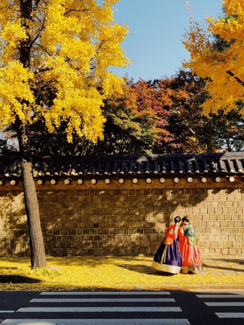 Gyeongbokgung autumn.