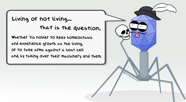 The Amoeba Sisters: Photo