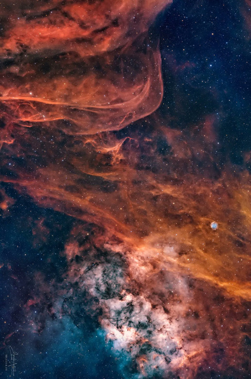misterlemonzagain:spacewonder19:  Sharpless 115/116 & Abell 71 © Aygen   https://misterlemonzagain.tumblr.com/archive