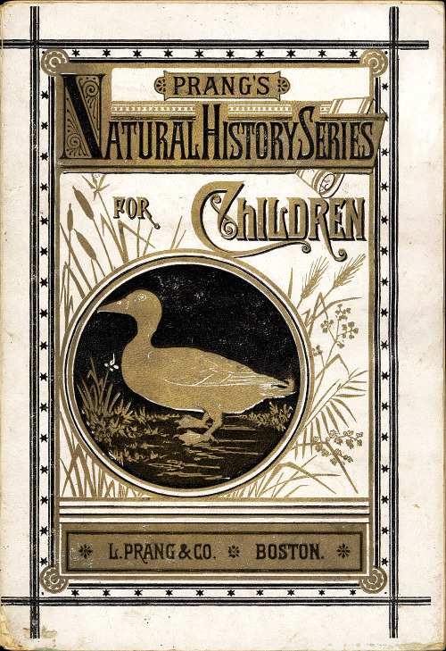 mucholderthen:Mrs. A. M. Diaz and Norman A. CalkinsPrang’s Natural History Series for Children. Bost