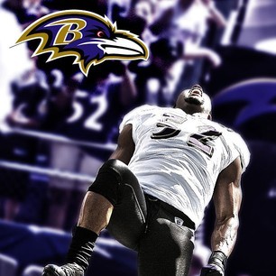 Porn livefrombmore:  #RAVENSNATION   Do y'all photos