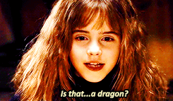 knockturnallley:  Harry Potter and the Philosopher's Stone 