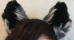 mischiefmonger:  I put what was a toe ring (with hearts on it) on my @kittensplaypenshop ears ;3   Don’t they look great? 🐺 