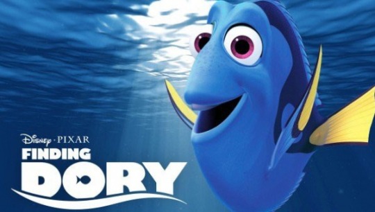 Find Dory, but don’t buy her!