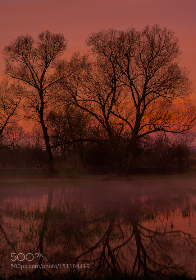 morethanphotography:  Morning Thoughts by aagazzi 