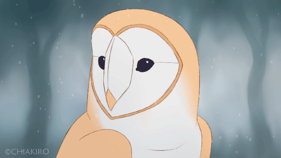 Art of Chiakiro — Something I did to practice drawing barn owls and...