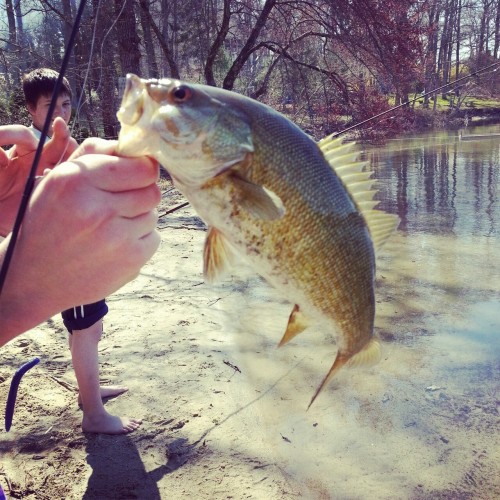 bentgrassoutdoors - Bentgrass Outdoors