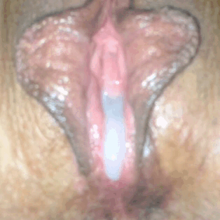 yourwifespussy:  😎😎😎😎😎😎😎😎😎😎😎29,000+ followers!  All pictures posted here are submissions – no reblogs. Join the fun and submit a pic of your wife’s sexy pussy! 