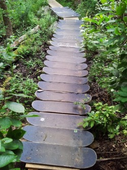 steezed0ut:  thisislongboarding:  downhillways:  climb-higher:  I was hiking and found a trail made of skateboards  so cool!  Recycle! Save the Earth!  . 