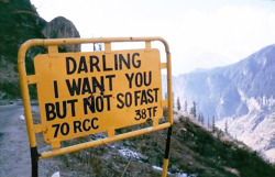 ousia-poetica:This is my aesthetic. I’ve found it at last. mountain road signs bearing sexual puns.