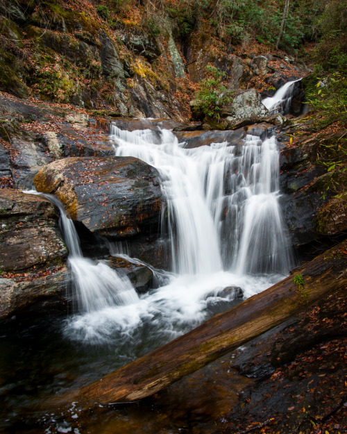 oneshotolive:  Dukes Creek Falls Trail - Georgia, USA. [OC] [1638x2048] 📷: jtaylor307 