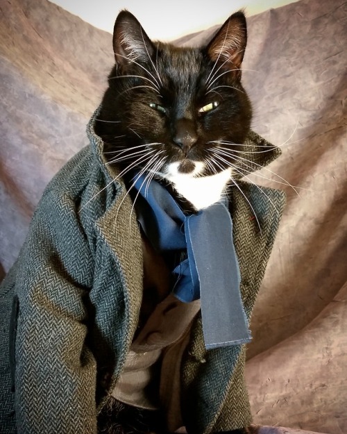 cat-cosplay:“Come, Catson, come! The game is a-paw. Not a mew!” ~Purrlock Holmes HAPPY BIRTHDAY DEAR
