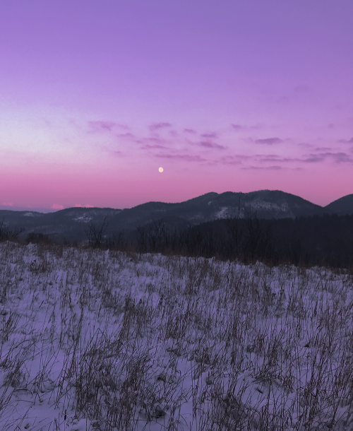 duettaeann: Cotton candy winter sky