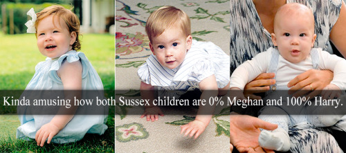 “Kinda amusing how both Sussex children are 0% Meghan and 100% Harry.” - Submitted by An