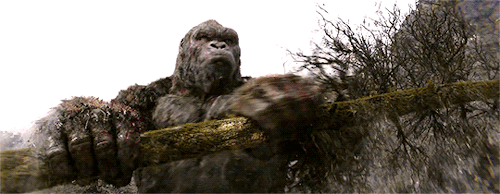 dianaofthemyscira:Kong: Skull Island (2017) dir. Jordan Vogt-Roberts