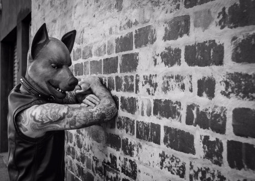 Leather pup in Mr S Vest and Rubber Dog hood… (Love your gear @mrsleather ) Thanks for the great pic!! http://one-last-look-photography.tumblr.com/