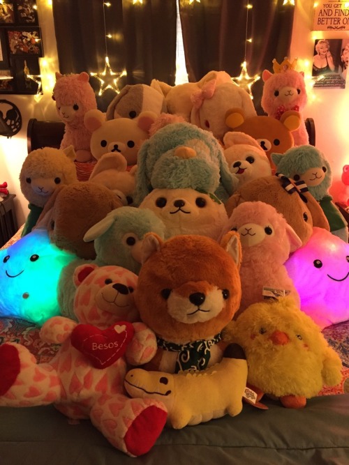 babyboyeren:  Introducing my stuffy collection!! The sharkies belong to daddy, cause even daddies like to snuggle things when they have bad days. As you can see, I’m a very spoiled boy. (ﾉ^ヮ^)ﾉ*:・ﾟ✧