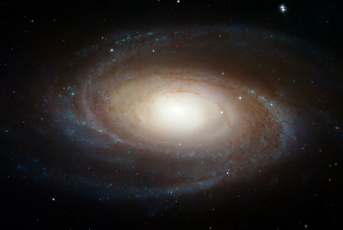 Last Legacy Hubble Birthday Pictures!