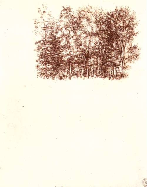 Birch copse, 1500, Leonardo Da VinciMedium: chalk,paper