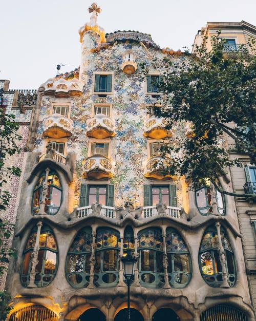 everything-thing: Barcelona, Spain by wonguy974