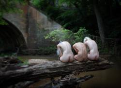 randompantsdesign:  “Waiting for the Rain”  From an outdoor shoot with @everythinghasedges, @jacsfishburne, and @jennakellen.  #model #modeling #nudeart #artnude #nudemodeling #nudephotography #models #nudeinnature #nudesinnaturerpf #implied #impliednude