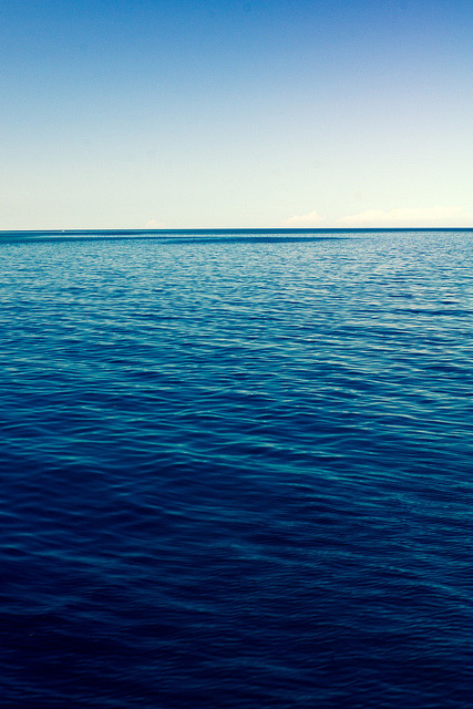 brutalgeneration:  Superior by appareil on Flickr. 