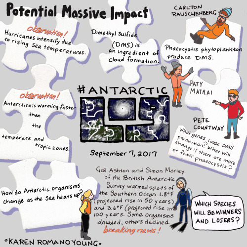 In this week&rsquo;s #AntarcticLog, artist Karen Romano Young makes the case for letting your ey