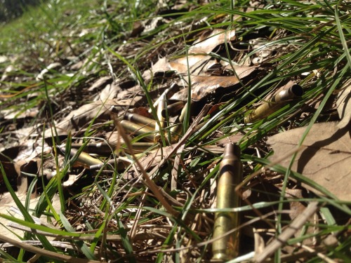 ravesnwaves:  You know it’s a good day when you look down and see this.