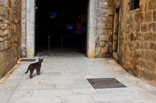 Walking around the ancient city of Split, Croatia.