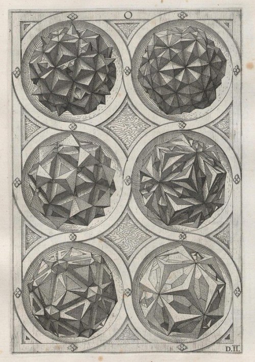 cassiatsura:  perspectiva corporum regularium by Wenzel Jamnitzer 