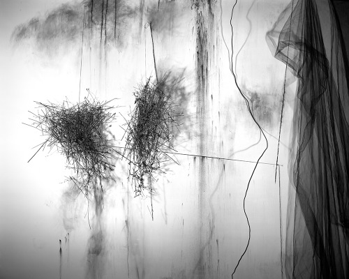 artemisdreaming:   Lauren Semivan      