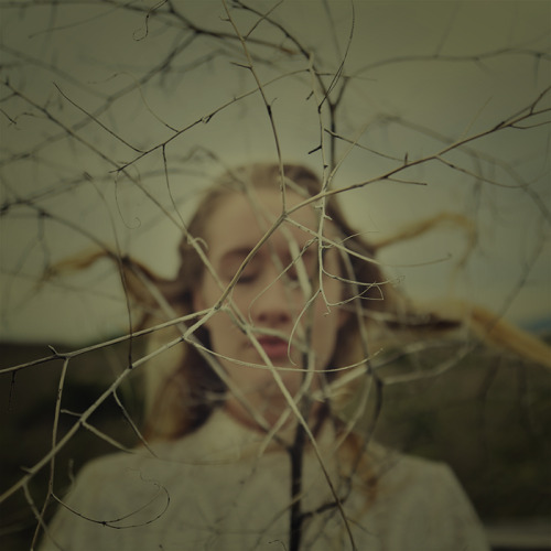 by KaLee Kilgrow 2013