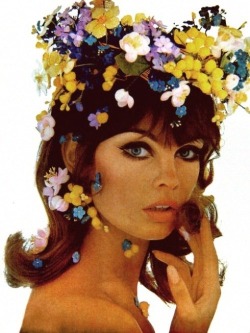 Jean Shrimpton by Bert Stern for Vogue 1965.