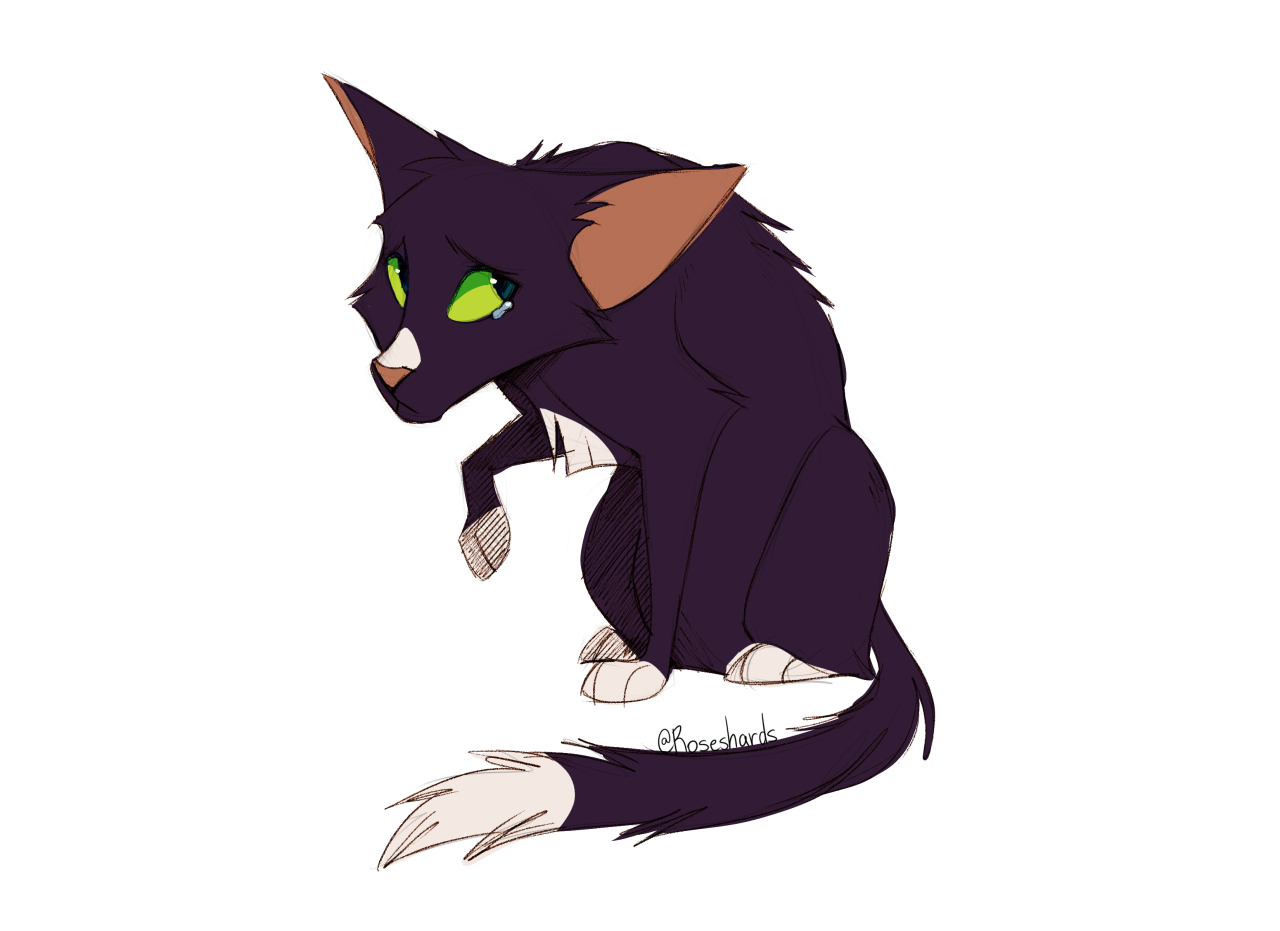 Warrior cats ravenpaw