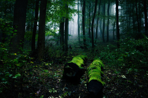 90377:Licht by Olli HenzeFacebook | Website | Posterlounge | Instagram | 500px