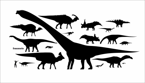 Dinosaur and their scaled silhouettes! :D In size order:Mamenchisaurus, Olorotitan, Spinophoros