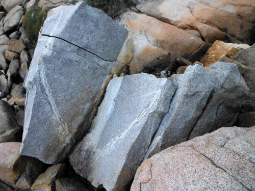 Slabs of granite, John Muir Wilderness, Sierra Nevada Mountains, California, USA. Photo by Van Mille