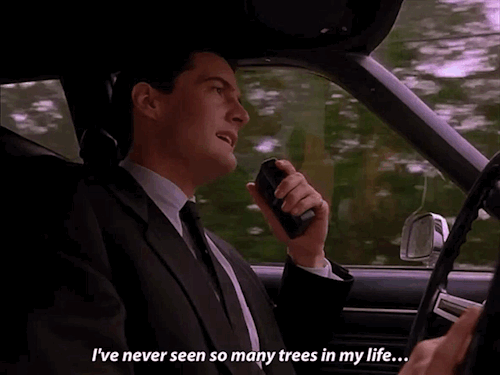 ☕️ Happy Twin Peaks Day 🌲 