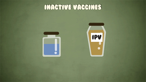 How do vaccines work?