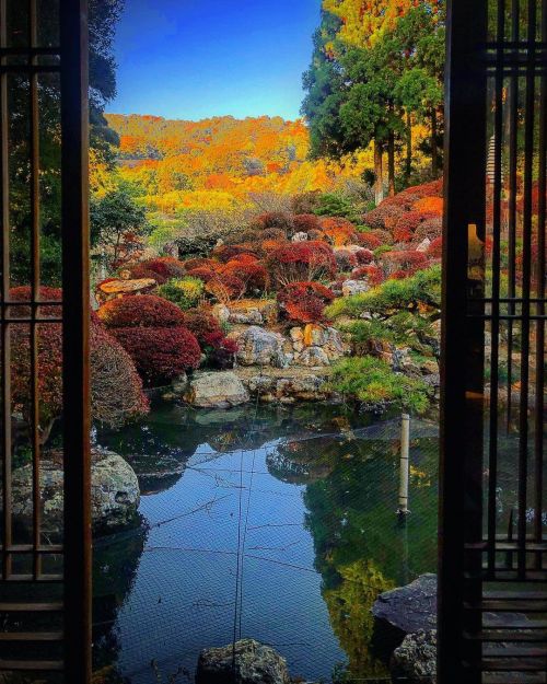 長楽寺庭園“満天星の庭” [ 静岡県浜松市 ] Choraku-ji Temple Garden, Hamamatsu, Shizuoka の写真・記事を更新しました。 ーー #小堀遠州 作庭の“遠州