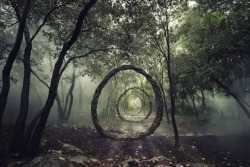 jedavu:  Forest Sculpture by Spencer Byles   This is seriously