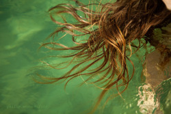 philipwernerfoto:  Doe by Philip Werner Fyn, Denmark. July 2014.  Healthy hair floats. :)