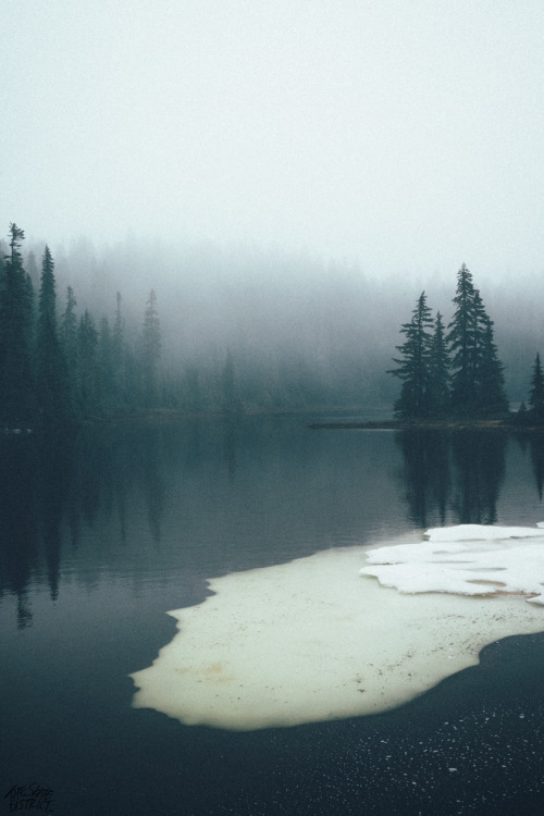 skatedistrict:Junction Lake, Indian Heaven Wilderness, WA. June 26.