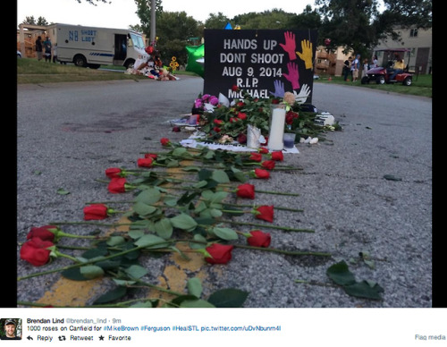 socialjusticekoolaid:  What they won’t show you on CNN tonight: Ferguson residents line a parade of roses down W Florissant, leading to where Mike Brown was taken from this world. #staywoke #powerful #insolidarity  