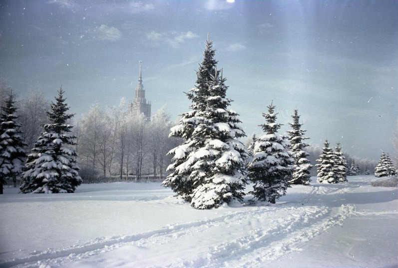 View of the main tower of the Moscow State University from the park. Photo by Ivan Shagin (c. 1968).