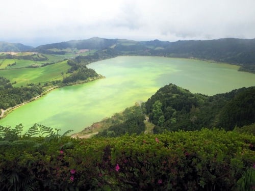 pocula:  Lagoa das furnas  ❁❁ tropical blog  ❁❁