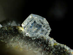 themineralogist:  Chabazite (by yaiba0390)